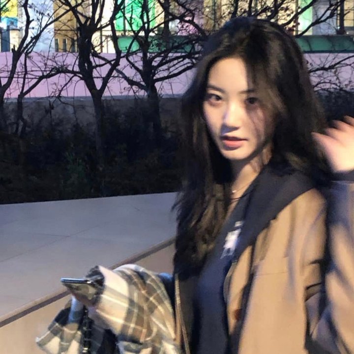 对战美洲狮